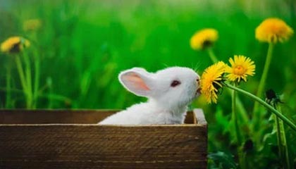 亚博体育——畅享极致竞技体验的首选平台